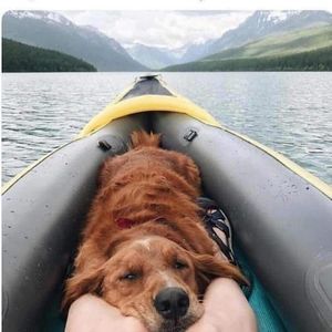 Meet your Posher, Joanna